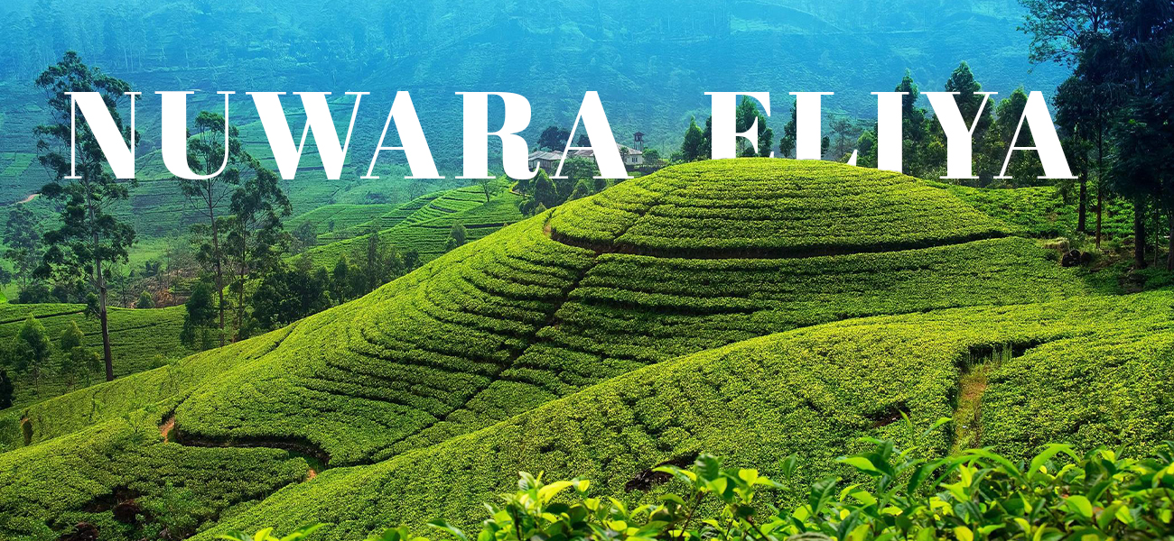 Nuwara Eliya