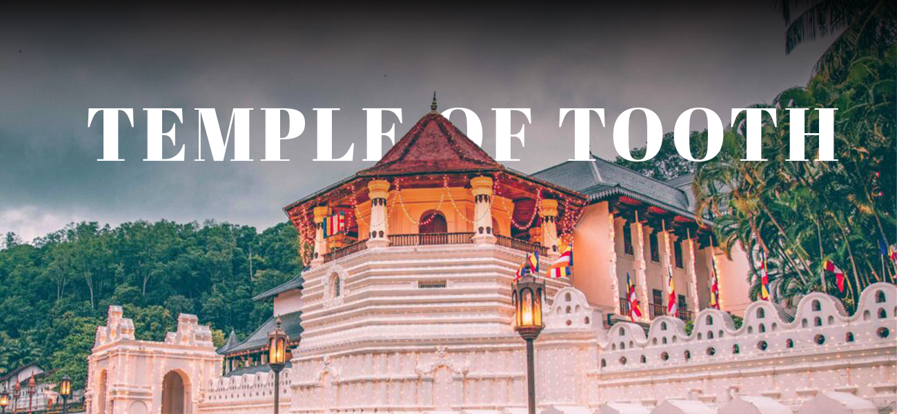 Top 10 Places to Visit in Sri Lanka (2025 Guide)