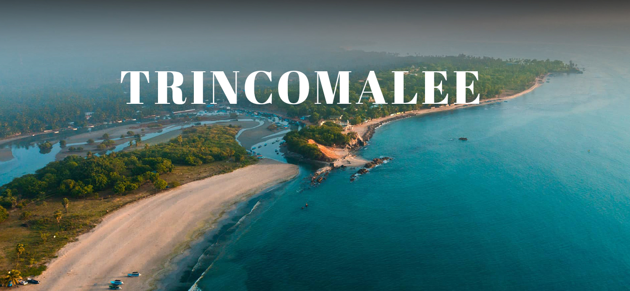 Top 10 Places to Visit in Sri Lanka (2025 Guide)