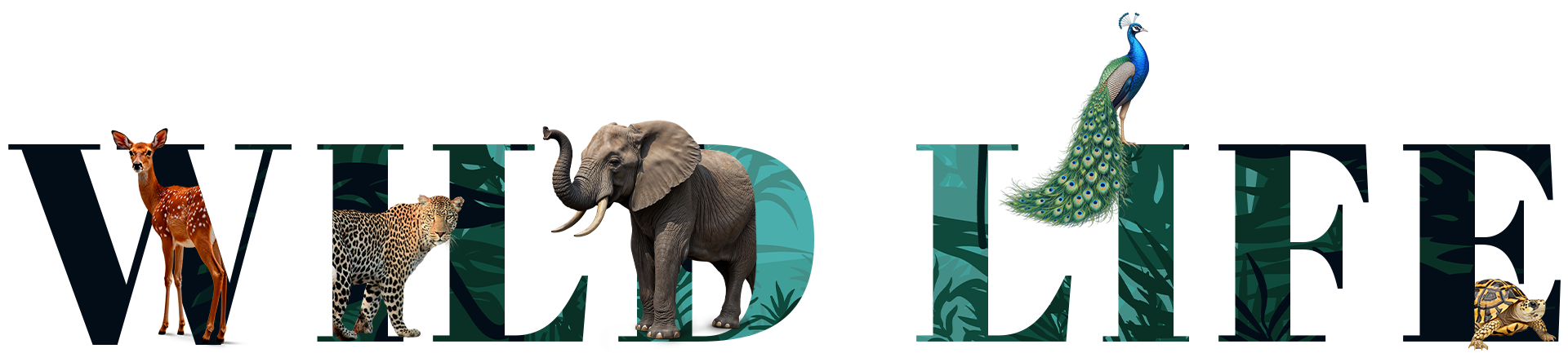 Wild Life Banner Image
