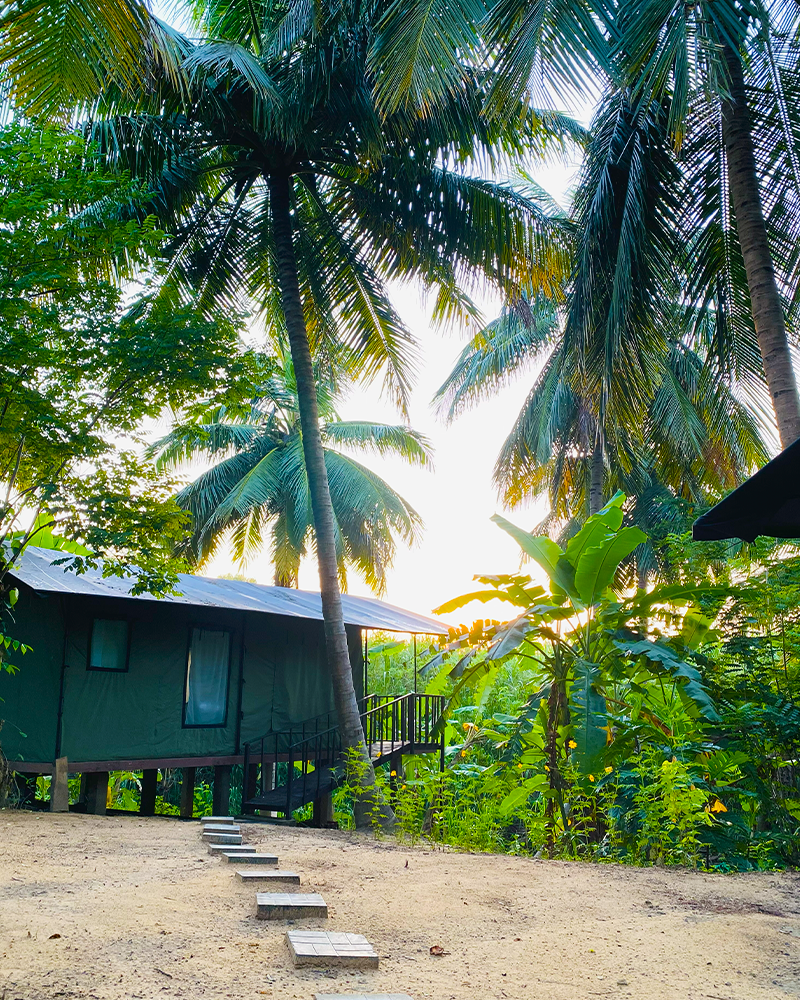 Coconut Camp Udawalawa